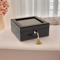 WATCH BOX (5)